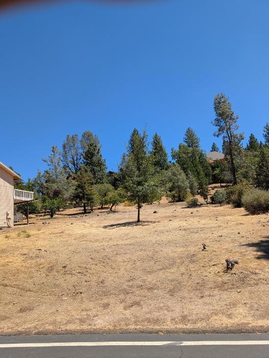 773 Dogwood Drive
