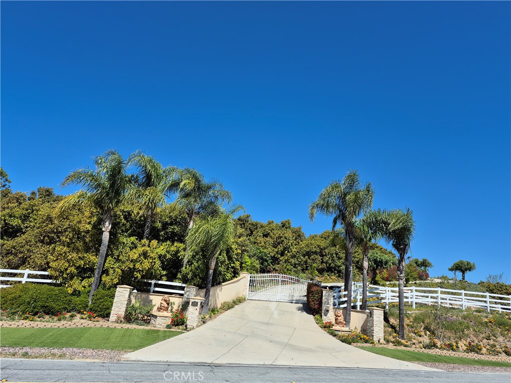 37305 Calle De Lobo