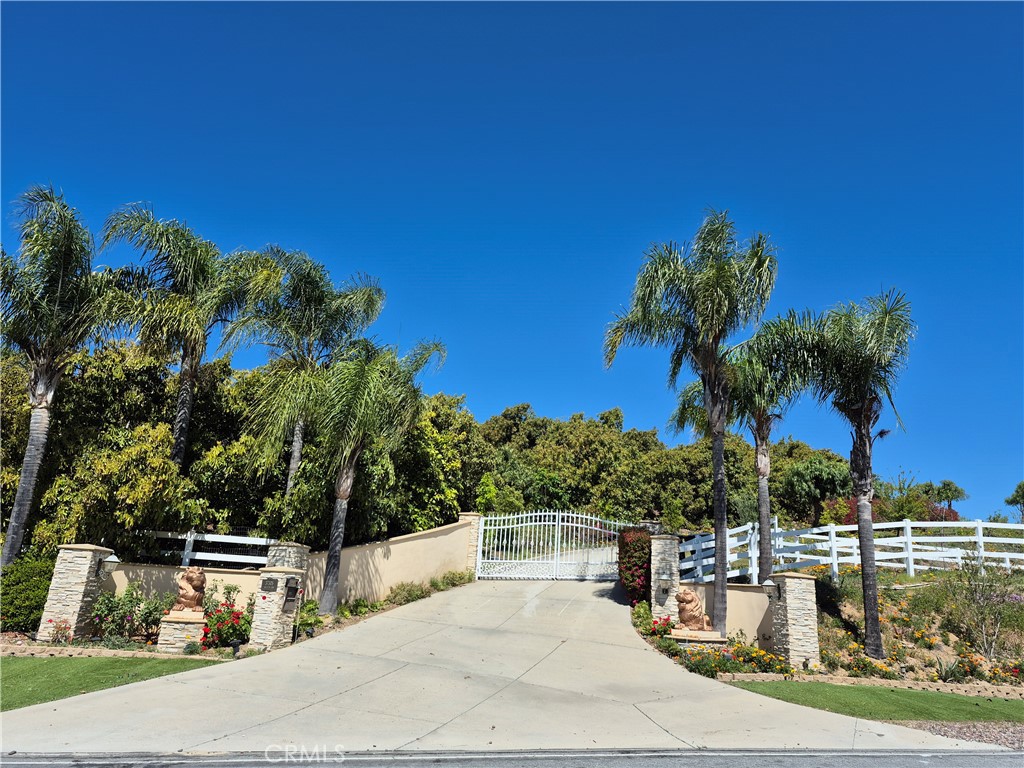 37305 Calle De Lobo
