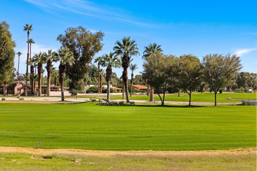 Borrego Springs - Residential