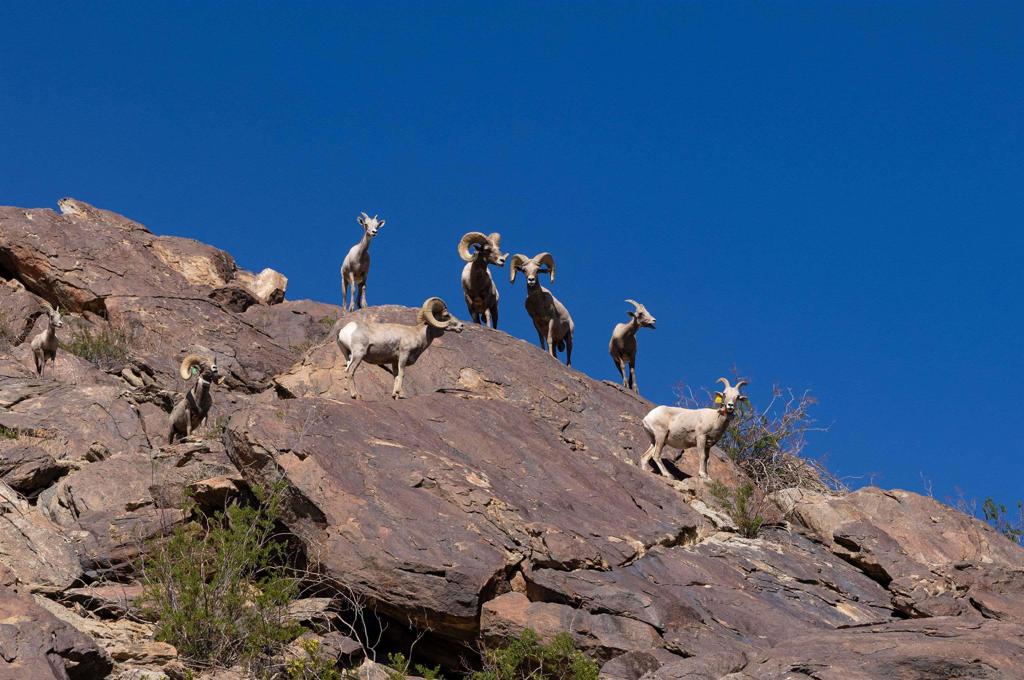 Borrego Springs - Residential