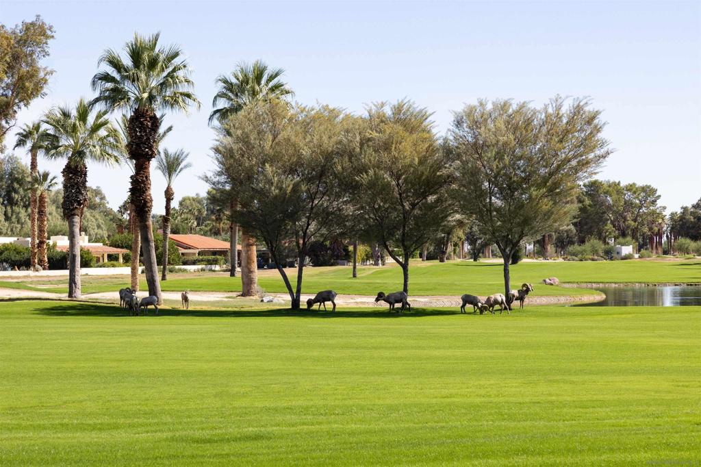 Borrego Springs - Residential