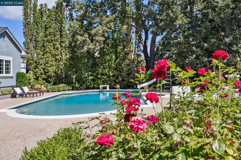 ALAMO WESTSIDE - Residential