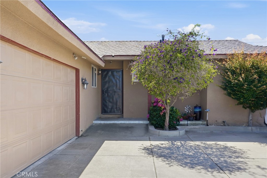 3133 Montano Drive