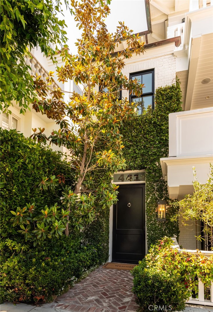 441 3rd Street