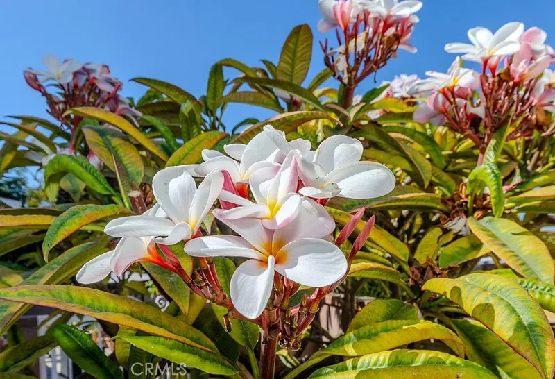 Santa Fe Springs, California 90670, United States, 3 Bedrooms Bedrooms, ,2 BathroomsBathrooms,Residential,Pending,180868