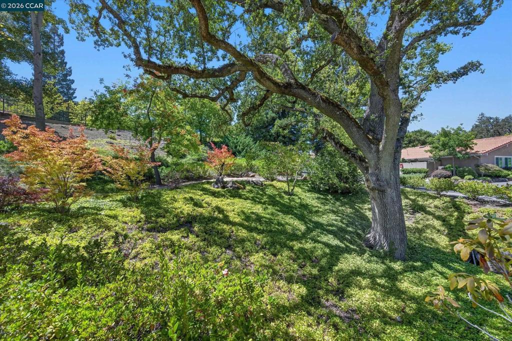 3126 Terra Granada Dr 2