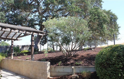 Tiny photo for 2451 Winding Brook RD, Paso Robles, CA 93446 (MLS # NS26210212)