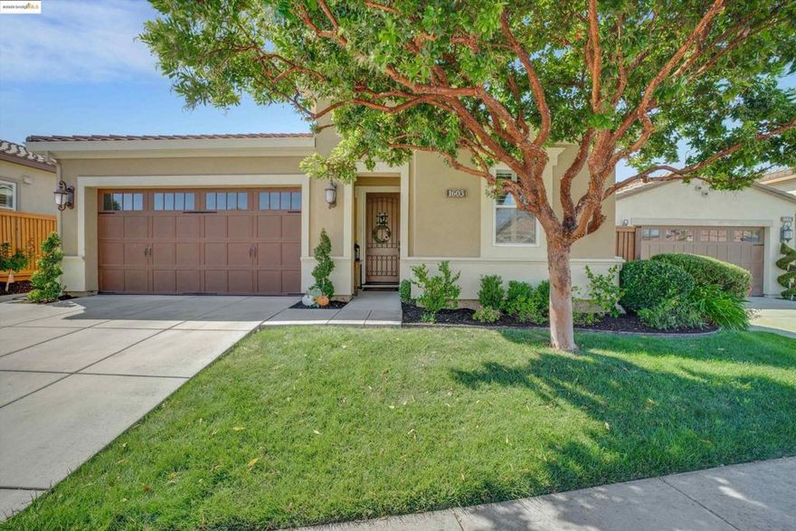 Enjoy the lifestyle you deserve in this beautifully maintained home located in Trilogy of the Vineyards, a 55+ community in charming Brentwood.  This home features elegant plantation shutters, an updated kitchen with a custom hood, under cabinet lighting, beautiful granite counters, stainless steel appliances and stylish gold-tone hardware.    Step outside to a private backyard designed for relaxation and entertaining - complete with new hardscape, a pergola with lighting and a serene water fountain.  This peaceful outdoor setting makes it an ideal space for morning coffee.    The garage offers added convenience with custom overhead shelving and a 220V outlet ready for your EV charger.  Solar is included, providing energy efficiency and savings year round.    This amazing community has top tier amenities including an amazing pool, fitness center, clubhouse activities, pickleball/tennis courts, spa and a restaurant.  All of this designed for the ultimate resort living experience.