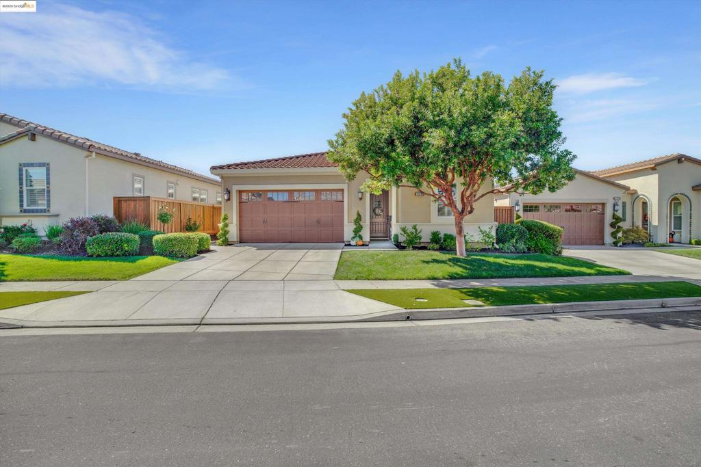 TRILOGY VINEYARDS - Residential