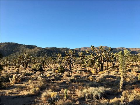 Photo of 26 Vista Road, Pioneertown, CA 92356 (MLS # JT26086455)