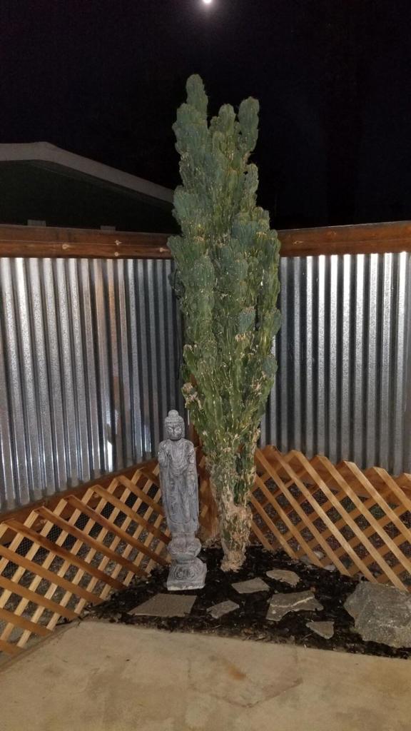 Horizon Mh Village - Manufactured In Park