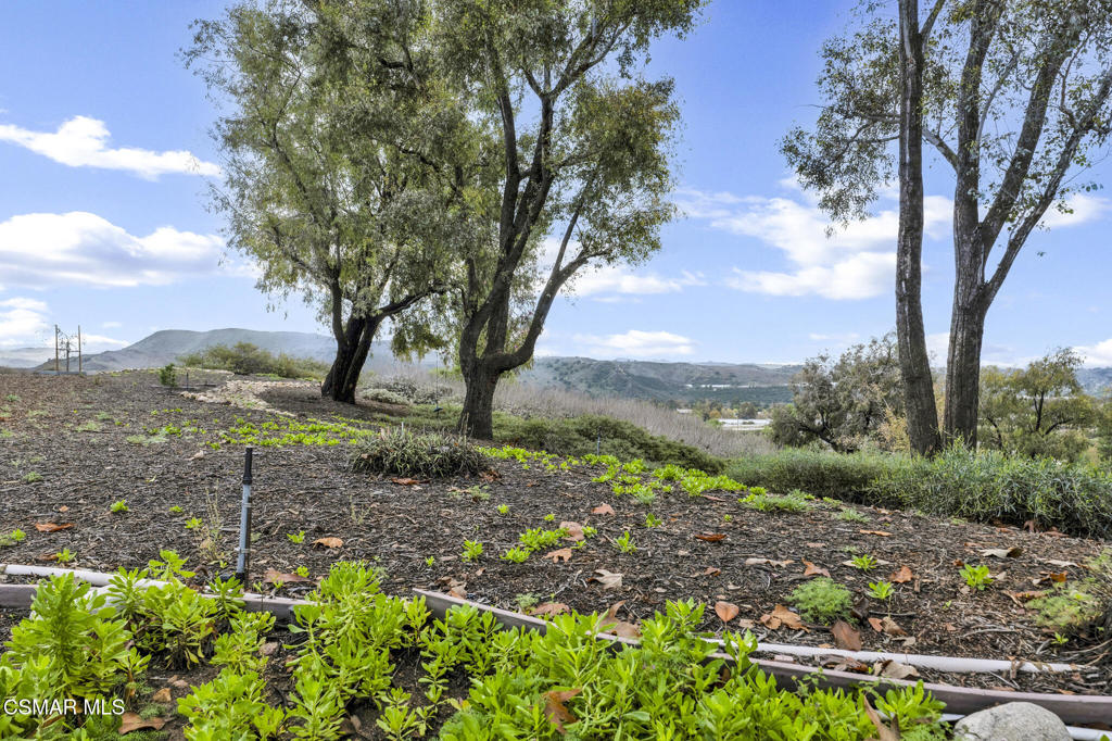 Varsity Park Patio-288 - 288 - Residential