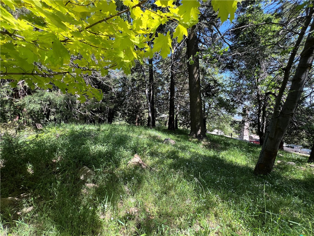 Sky Forest (SKYF) - Land