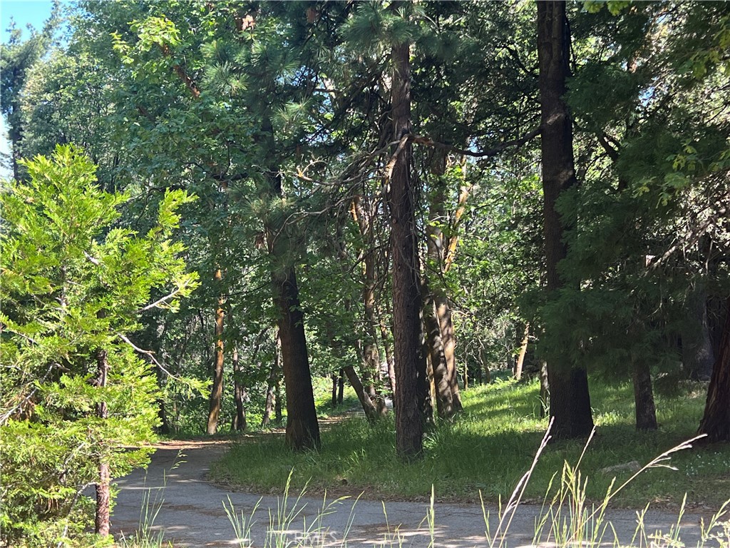 Sky Forest (SKYF) - Land