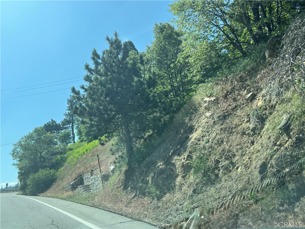 Sky Forest (SKYF) - Land