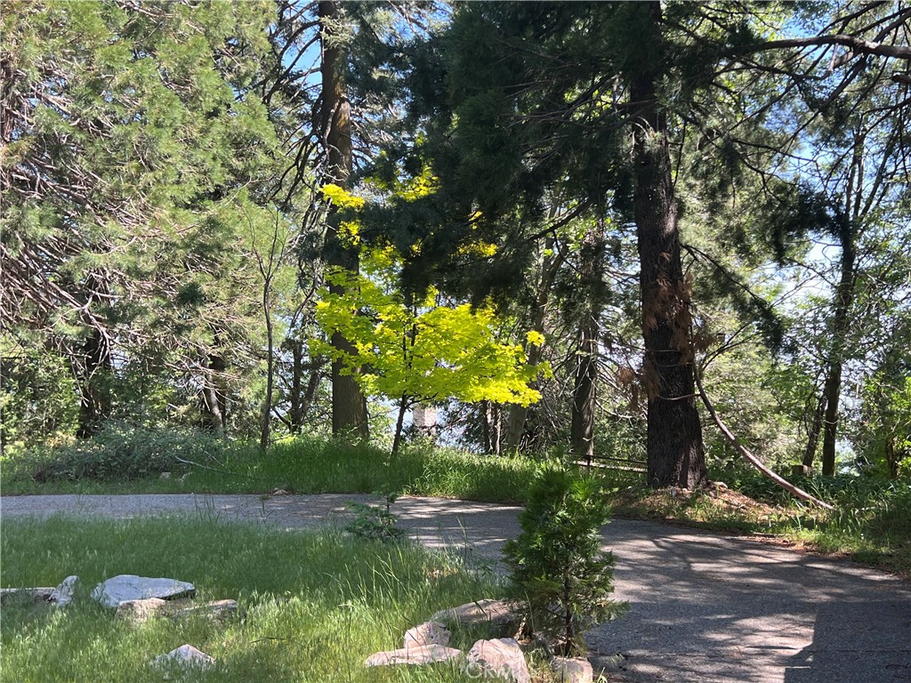 Sky Forest (SKYF) - Land