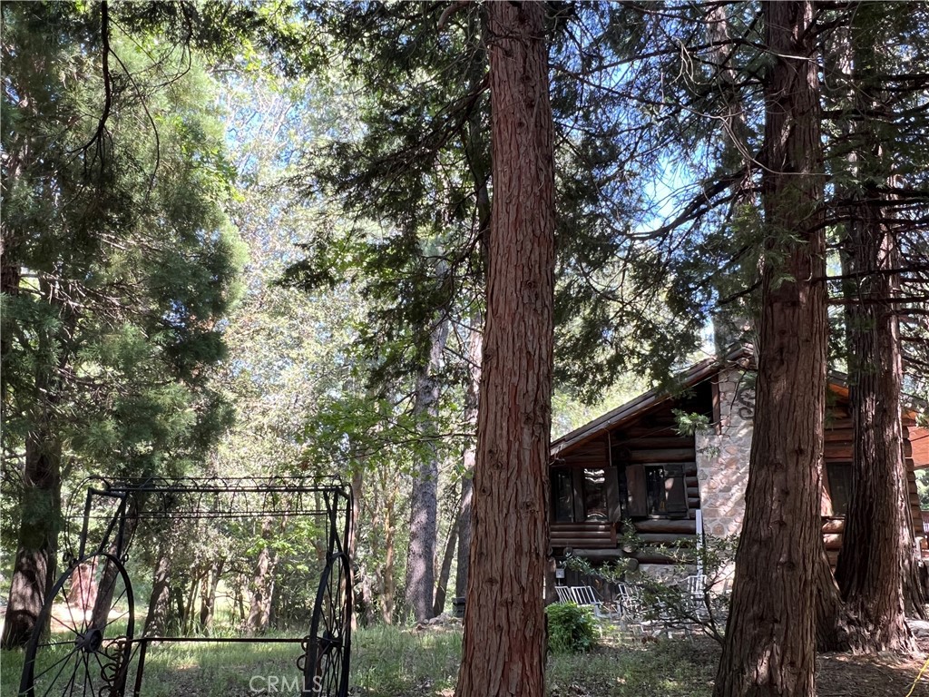 28879 Sycamore Drive
