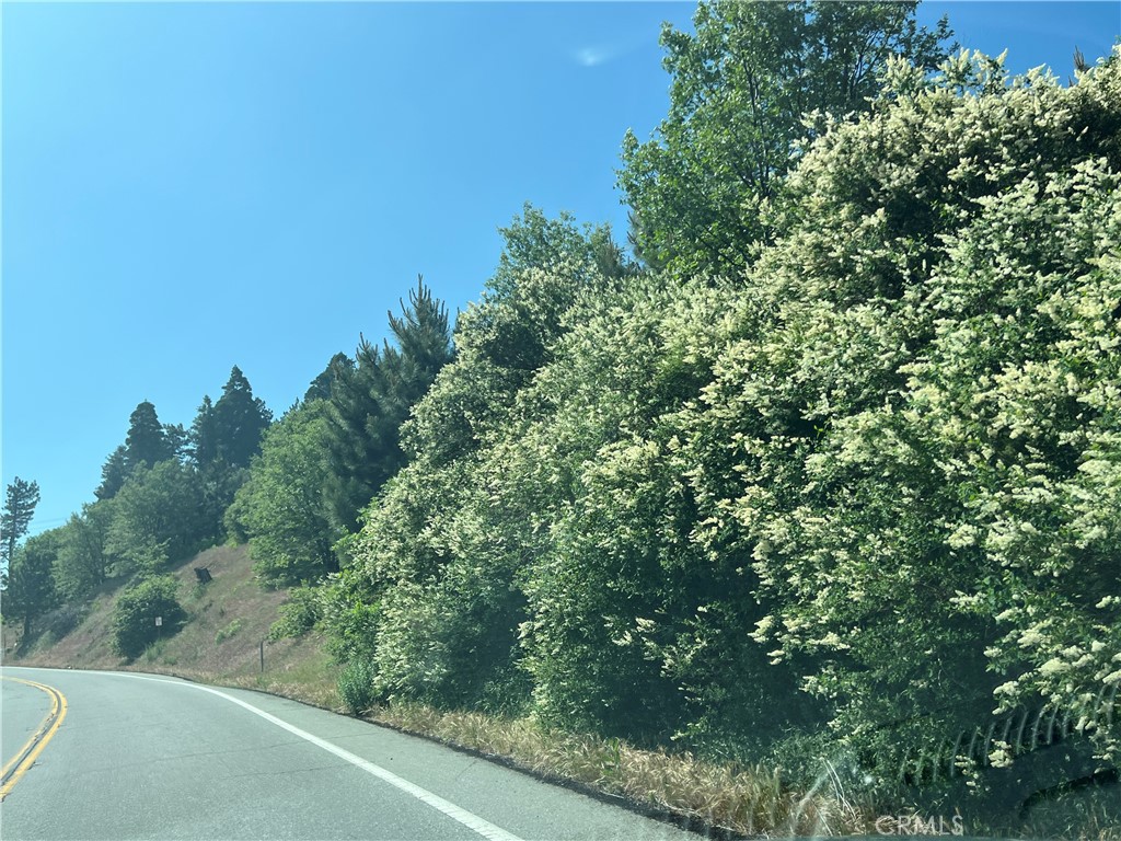 Sky Forest (SKYF) - Land