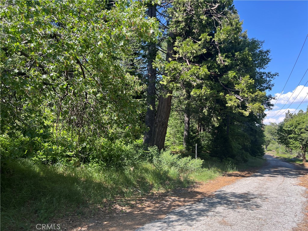 Sky Forest (SKYF) - Land