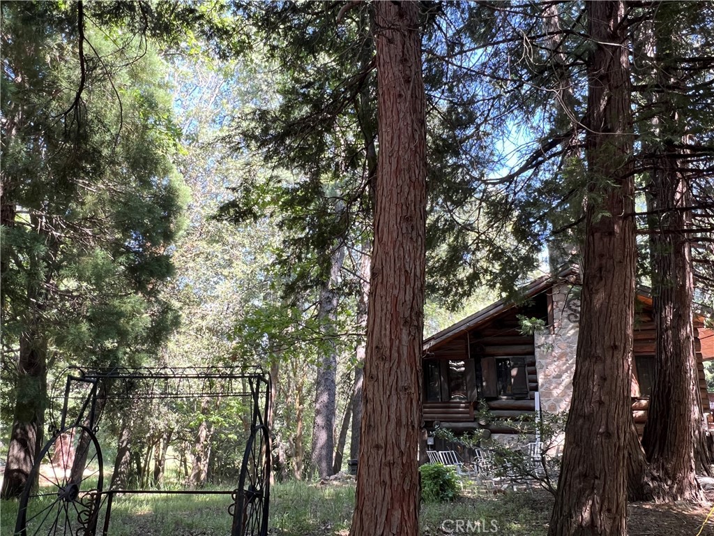 28879 Sycamore Drive