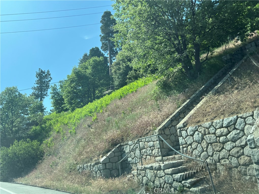 Sky Forest (SKYF) - Land