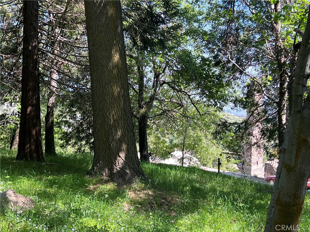 Sky Forest (SKYF) - Land