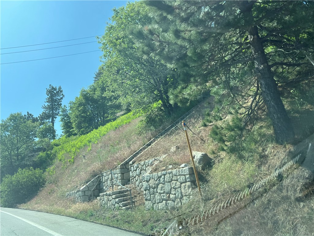 Sky Forest (SKYF) - Land