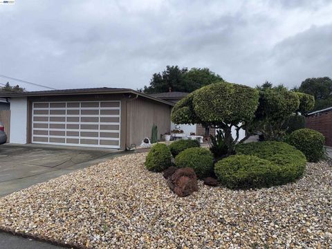 Photo of 2632 Renton Way Way, Castro Valley, CA 94546 (MLS # 41130352)