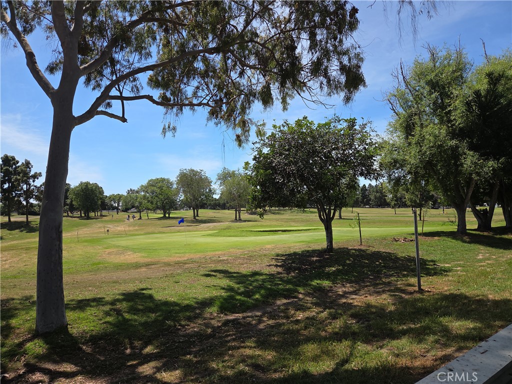 6068 Avenida De Castillo