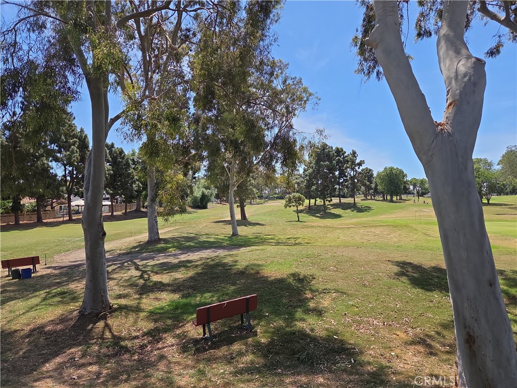 6068 Avenida De Castillo