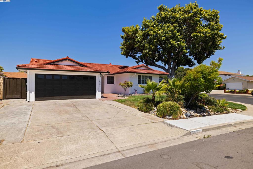 Huge corner lot, top-rated schools, prime neighborhood, and beautifully renovated with almost everything brand new! Located in one of the most desirable Union City neighborhoods, this beautifully renovated home offers 1,556 sq. ft. of open-concept living on a large corner lot, featuring a spacious primary suite, three guest bedrooms, two full bathrooms, and an updated attached 2-car garage, perfectly suited for modern living. It features a spacious, light-filled living room with a cozy fireplace and glass sliding doors to the backyard, enhancing the space with even more natural light. The heart of the home, a fully renovated kitchen, is ready for culinary adventures with new cabinets, quartz countertops, and stainless steel appliances, including a gas stove. Both bathrooms have undergone renovations, featuring new vanity sets, updated light fixtures, and a renovated shower/tub! Outside, the property features updated landscaping in both front and backyard, creating a serene outdoor space for relaxation and gatherings. Other wonderful features include central heating and A/C, a well-maintained roof, dual-pane windows, new interior and exterior paint, new light fixtures, new flooring, and much more! Enjoy close proximity to parks, schools, and major highways. Come check it out!