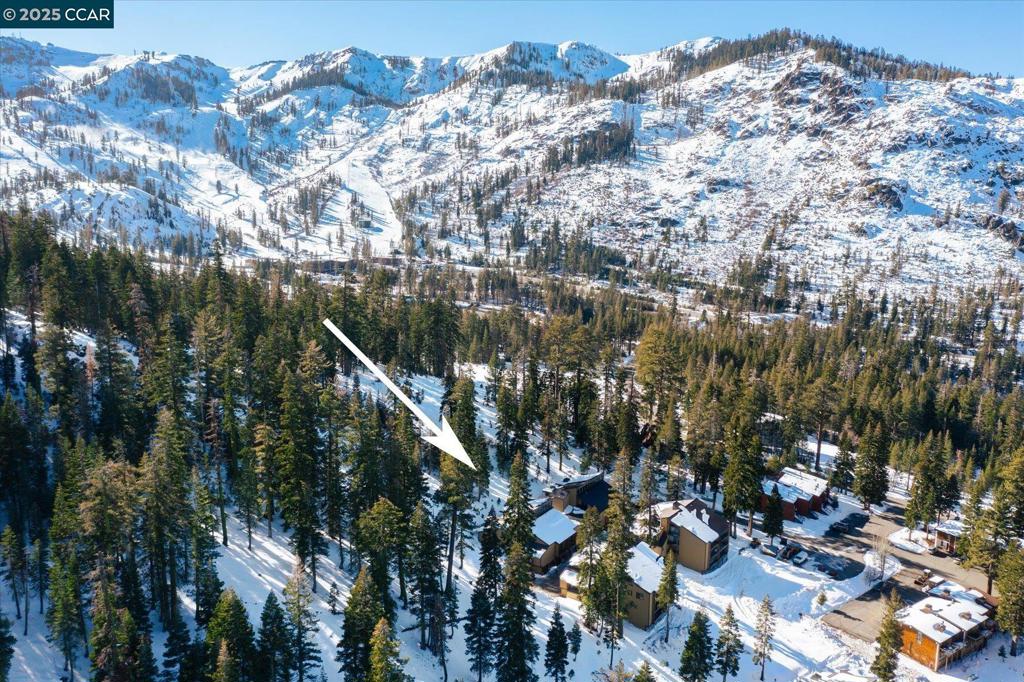 2201 Scott Peak Pl 49