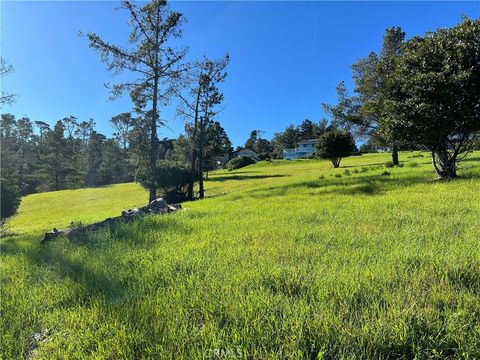 Tiny photo for 0 London Lane, Cambria, CA 93428 (MLS # SC26009465)