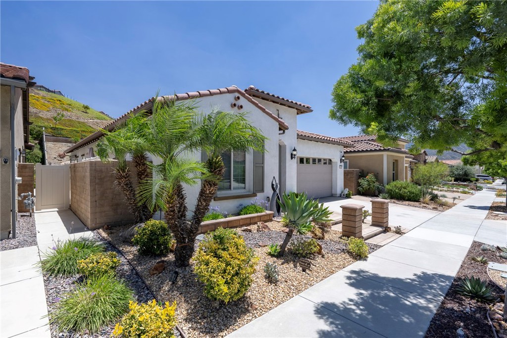 24368 Overlook