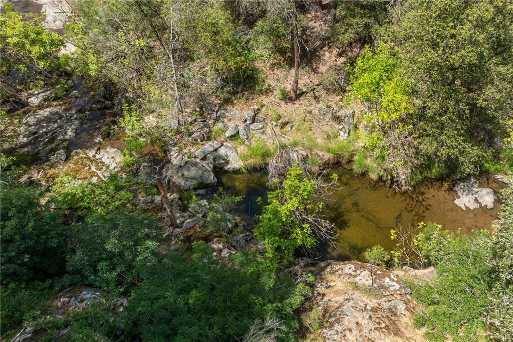 54481 Pinchot