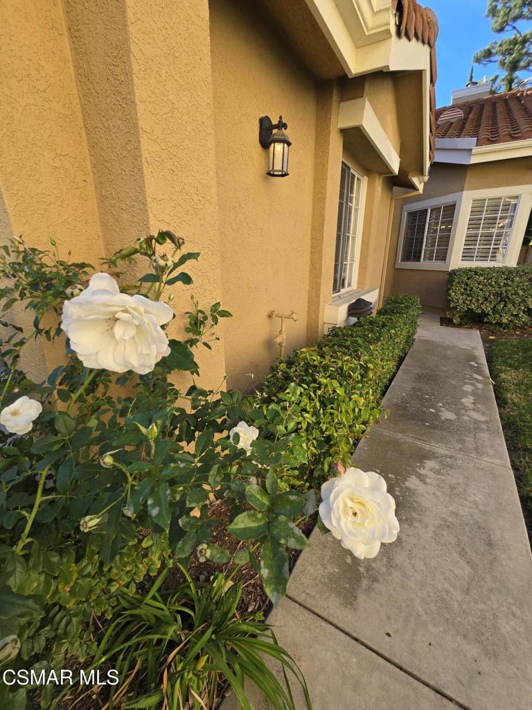 Capri West Oaks Park-832 - 832 - Residential Lease