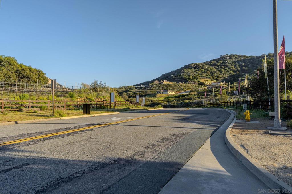 12872 Vineyard Crest Pl