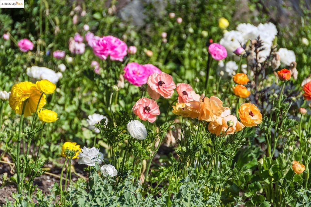 UPPER LAKESHORE - Residential