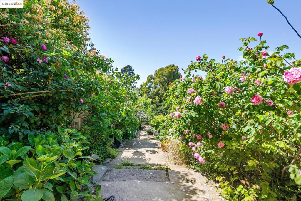 UPPER LAKESHORE - Residential