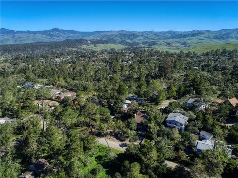 Tiny photo for 2100 Langton Street, Cambria, CA 93428 (MLS # SC26051199)