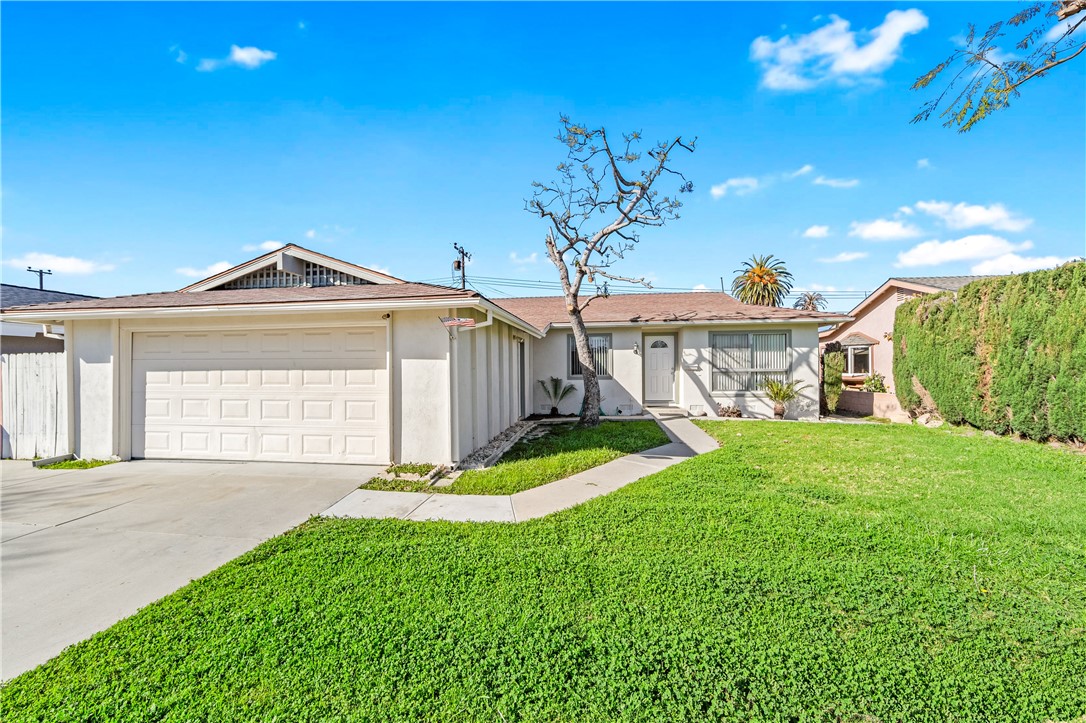 6431 Brown