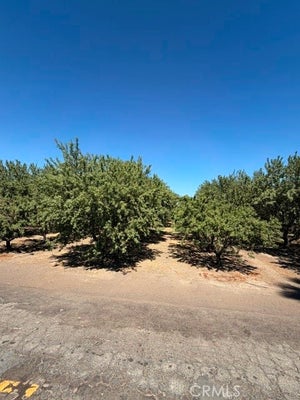 4032 W INYO AVE, TULARE, CA 93274 - Image d48a6e67ae3d8d66bb69b8a68c2c2829/4035211698