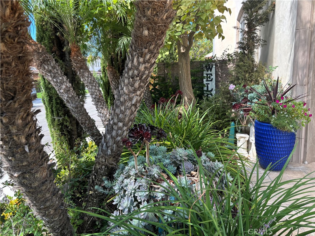 serrano heights - Residential