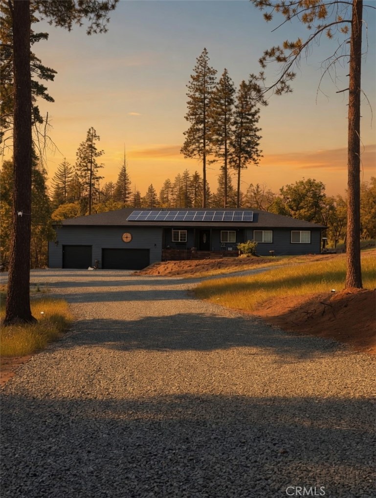 5999 Sugar Pine