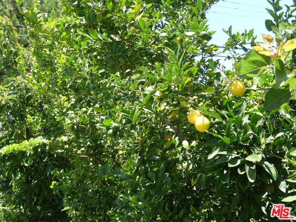 Castle Heights - Residential Lease