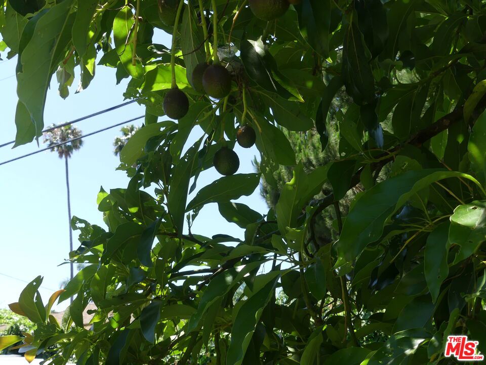 Castle Heights - Residential Lease