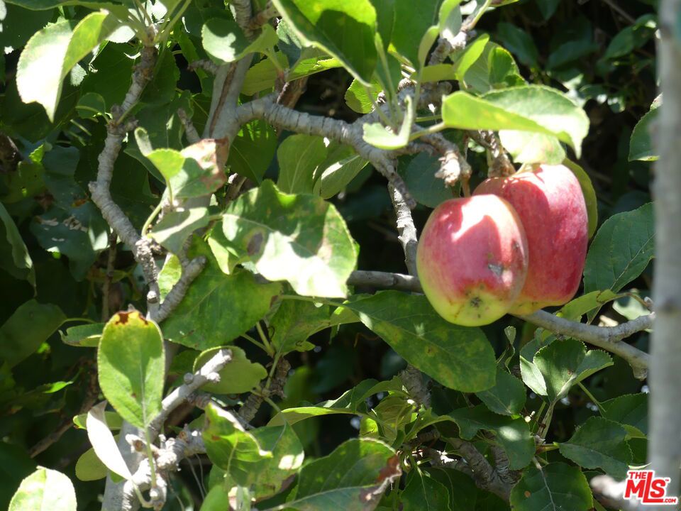 Castle Heights - Residential Lease