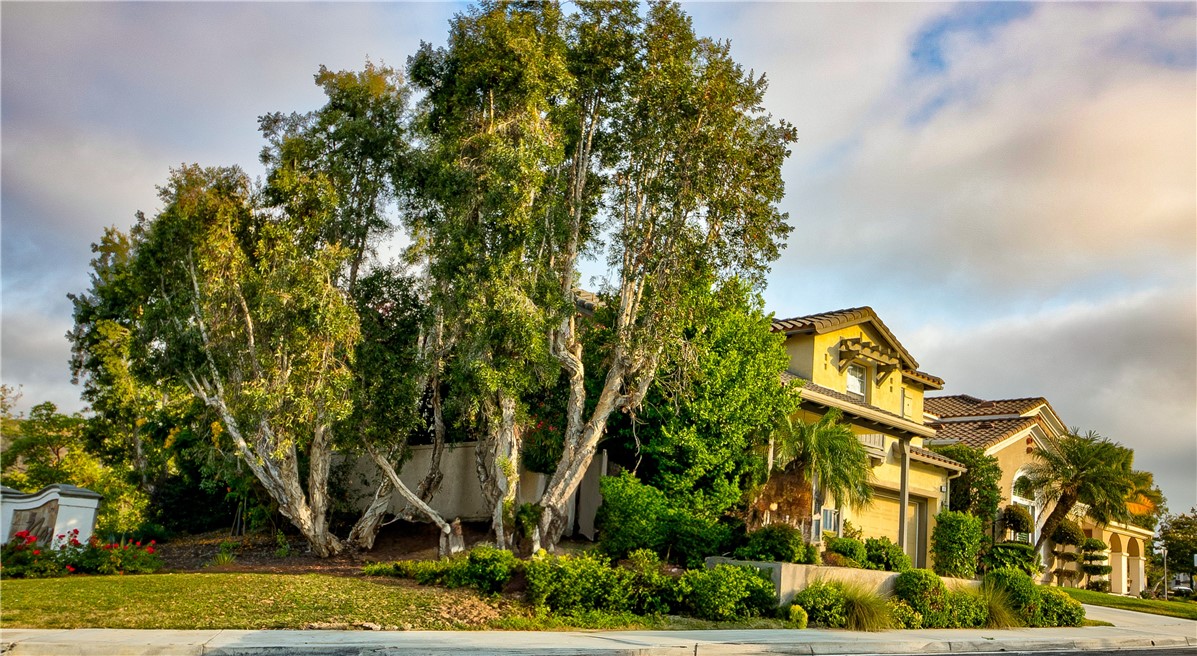 Welcome to 6 Avenida Fortuna, where thoughtful design meets serene living in one of San Clemente’s most sought after neighborhoods. Nestled on a larger corner lot with no neighbors on one side, this beautifully maintained residence offers exceptional privacy and a sense of openness. Step inside and be captivated by an elegant spiral layout that seamlessly connects spacious living areas. The open floor plan is bathed in natural light from oversized windows, highlighting quality wooden cabinetry and crown moulding throughout. Storage is abundant, from built in cabinets in the attached two-car garage to generous closets and smartly designed nooks throughout the home. A recently installed furnace adds comfort and efficiency, while the covered front porch creates a charming entry and peaceful spot to unwind. Outdoors you can enjoy the expansive backyard, an entertainer’s dream and private oasis, perfect for gatherings or quiet moments under the sun. Located just moments from a local park and a few miles from local shops, this home blends natural beauty with everyday convenience.
This is more than just a home, it's a rare opportunity to own a distinctive property in a prime coastal community.
Sellers in Escrow on another property very motivated