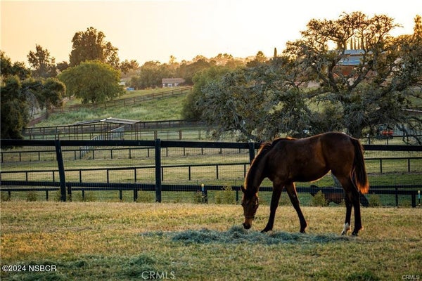 1977 SAN MARCOSS PASS RD, SANTA YNEZ, CA 93460 - Image d4c07cc3b914567dff12a43f8cedfbac/352194193